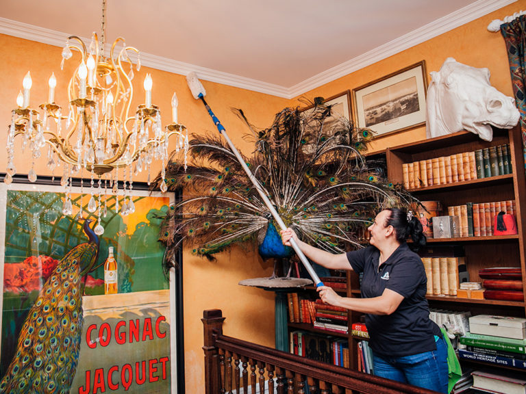 HowtodoHighDusting 5280 House Cleaning